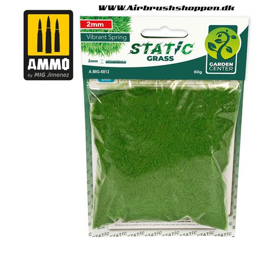 AMIG 8812 Static Grass - Vibrant Spring – 2mm